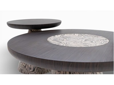 693 - 694 Root Covering Set Of 2