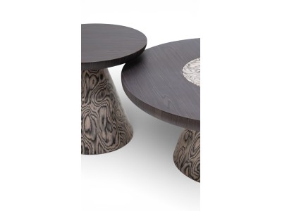 693 - 694 Root Covering Set Of 2