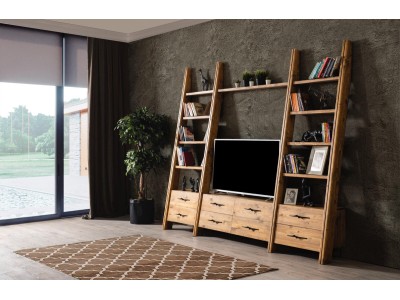 EMA TV UNIT